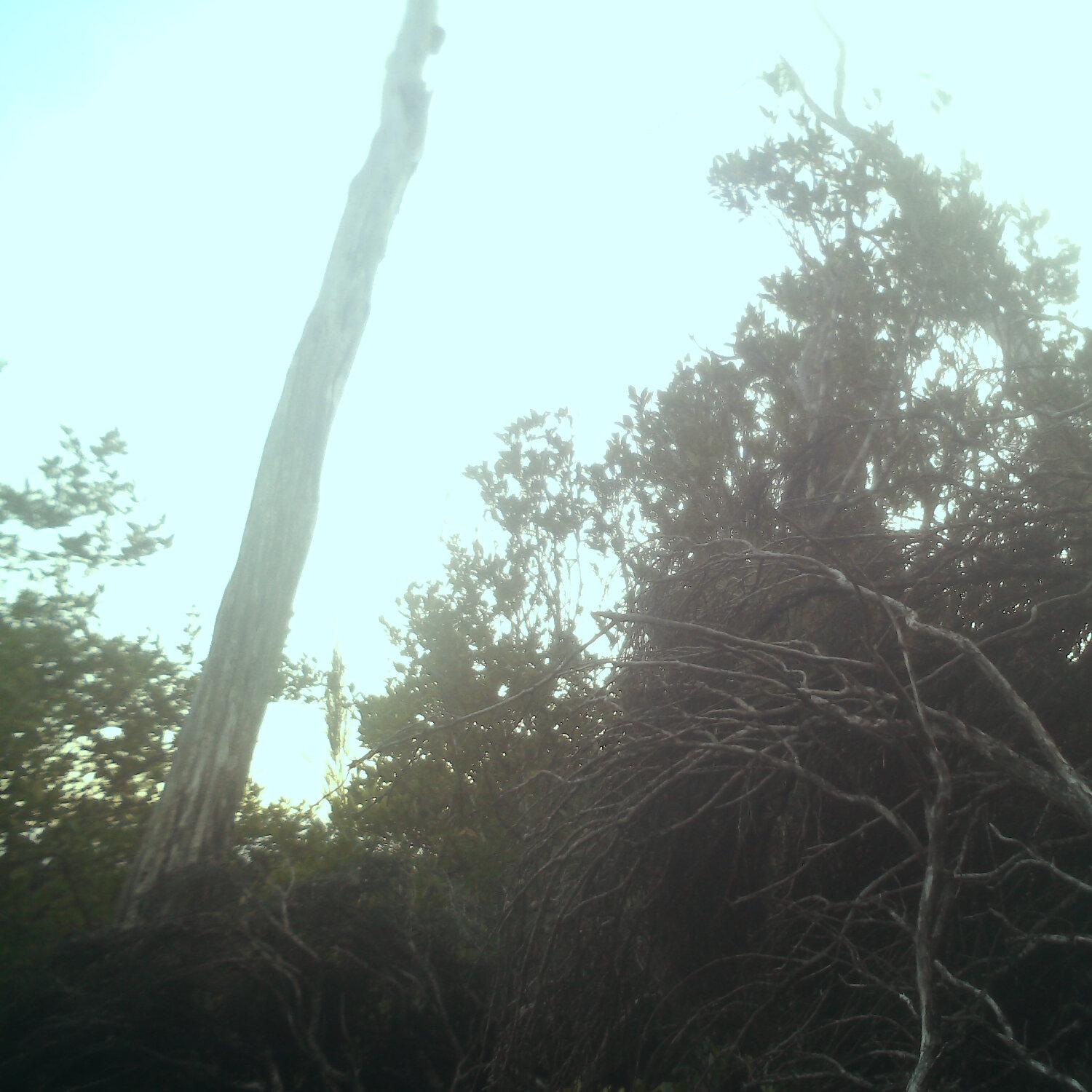 A photo captured from the webcam at the time the audio was recorded