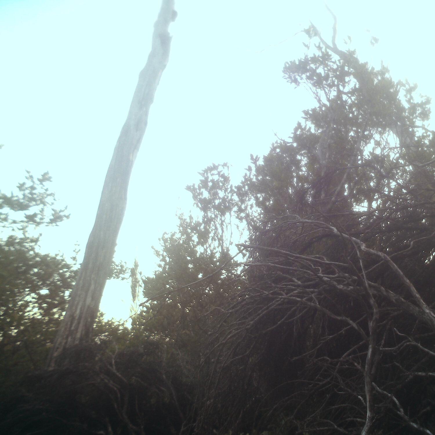 A photo captured from the webcam at the time the audio was recorded