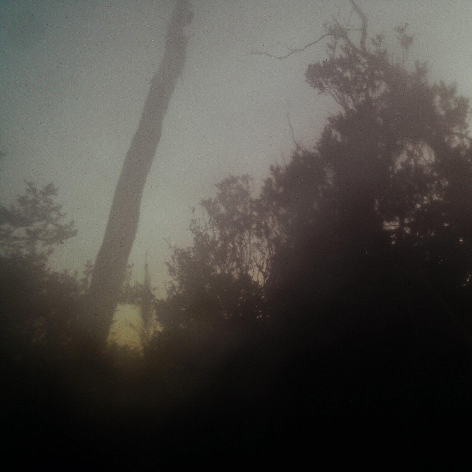 A photo captured from the webcam at the time the audio was recorded