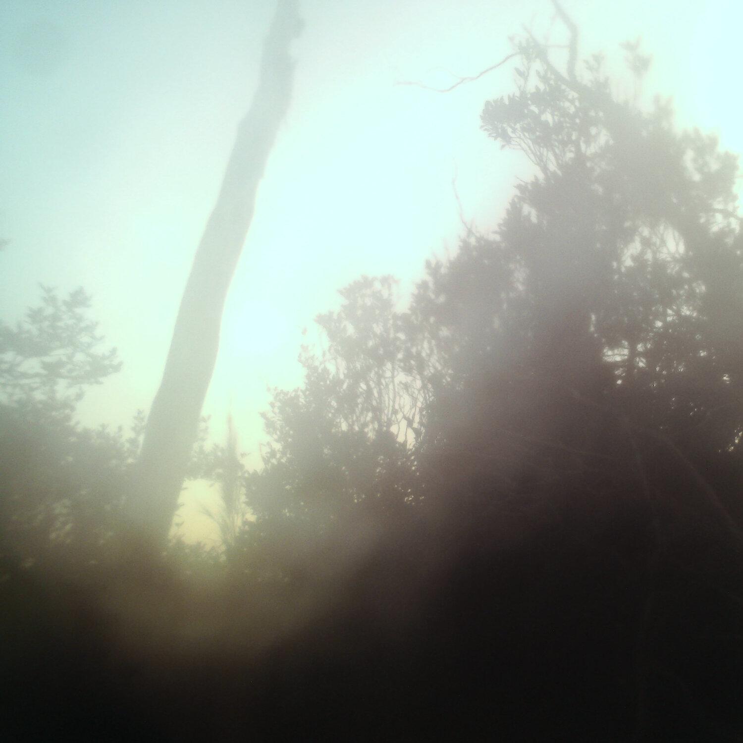 A photo captured from the webcam at the time the audio was recorded