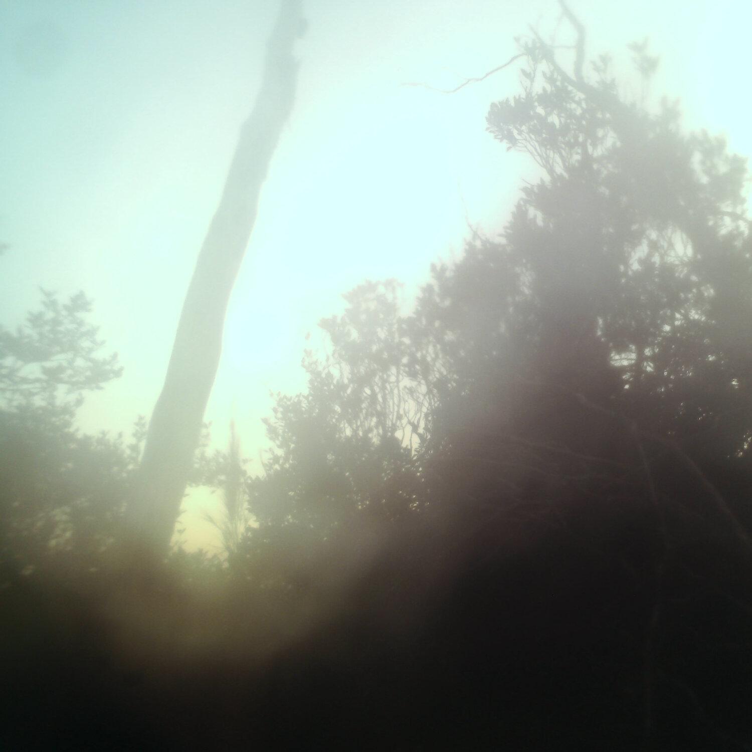 A photo captured from the webcam at the time the audio was recorded