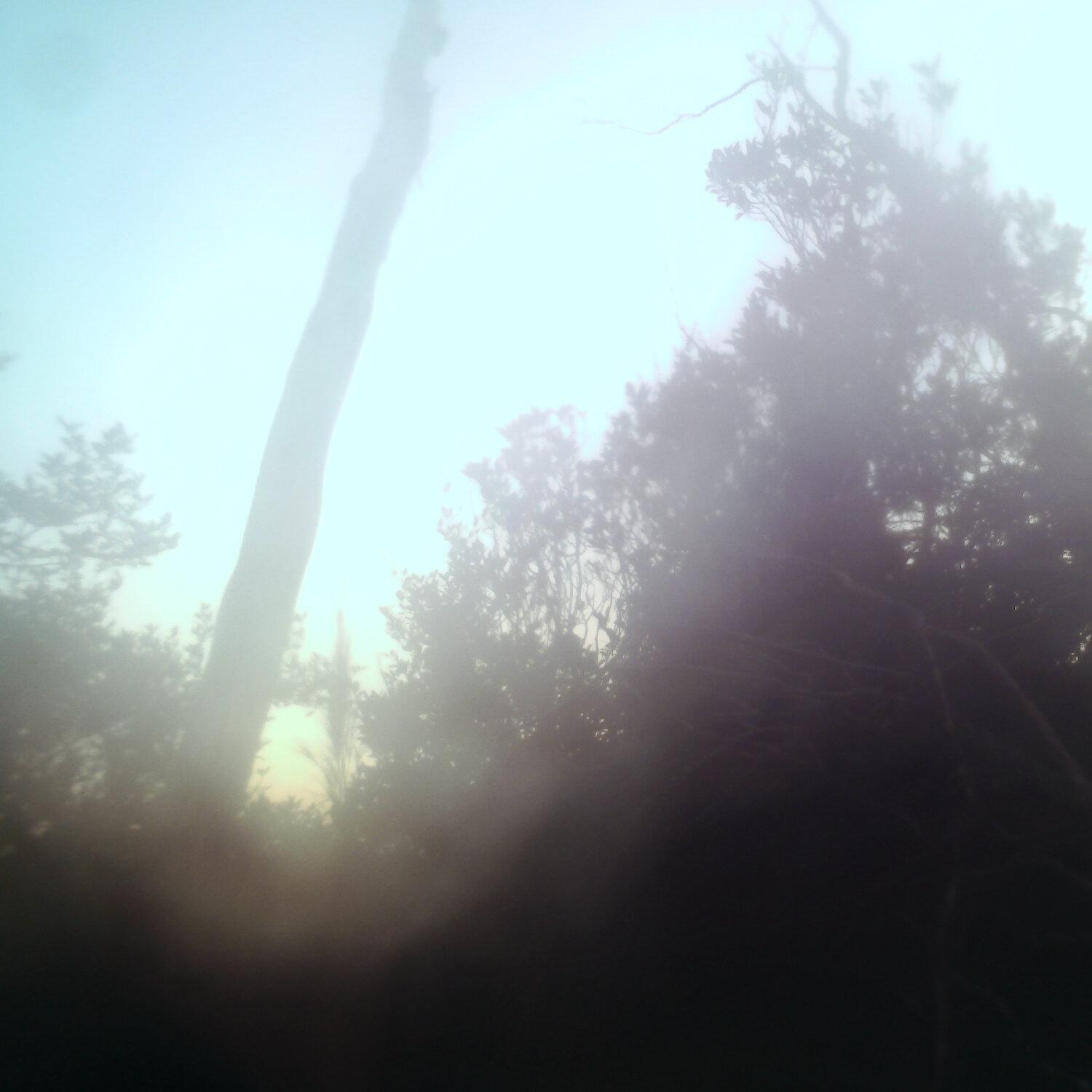 A photo captured from the webcam at the time the audio was recorded