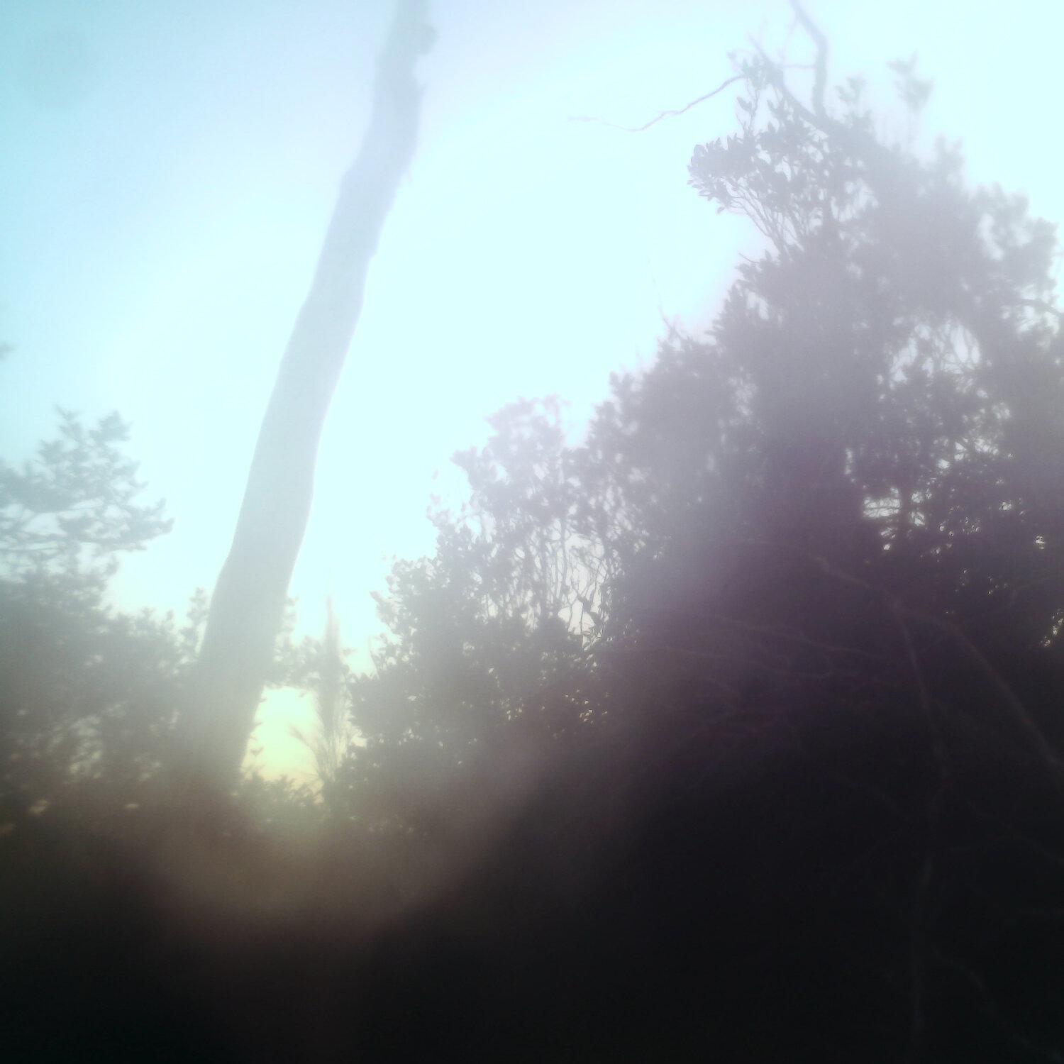A photo captured from the webcam at the time the audio was recorded