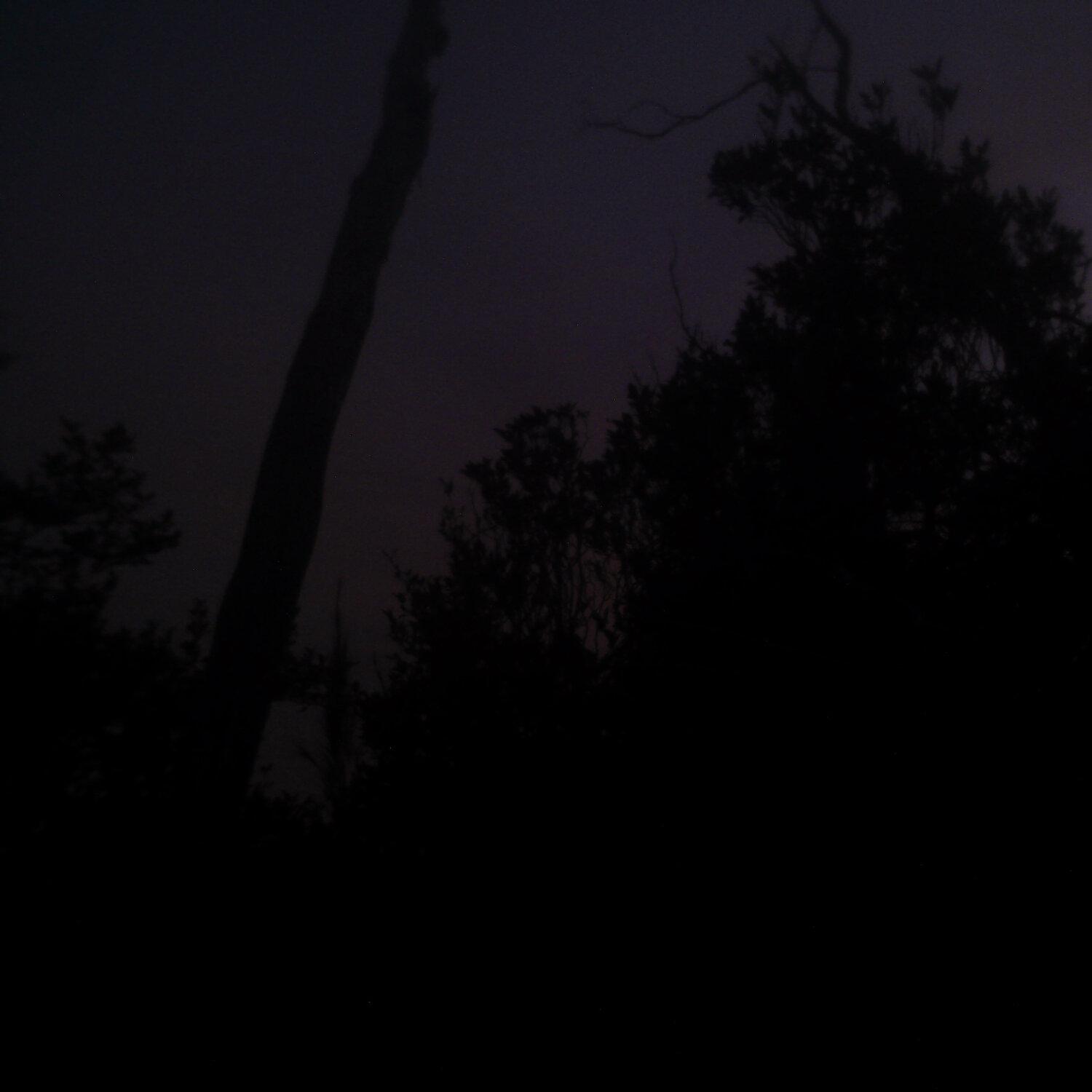 A photo captured from the webcam at the time the audio was recorded