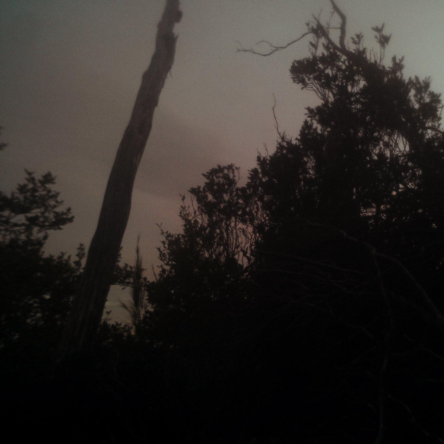 A photo captured from the webcam at the time the audio was recorded
