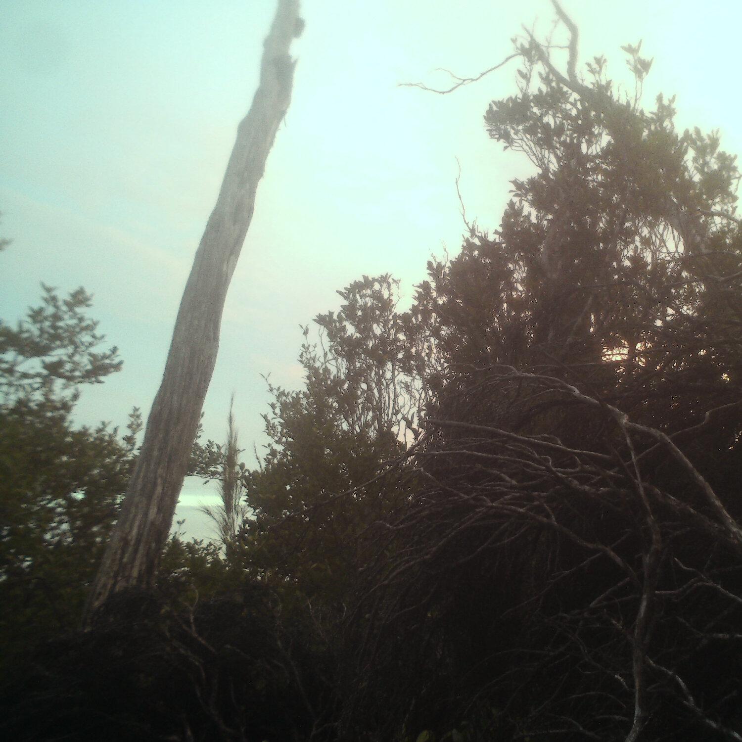 A photo captured from the webcam at the time the audio was recorded