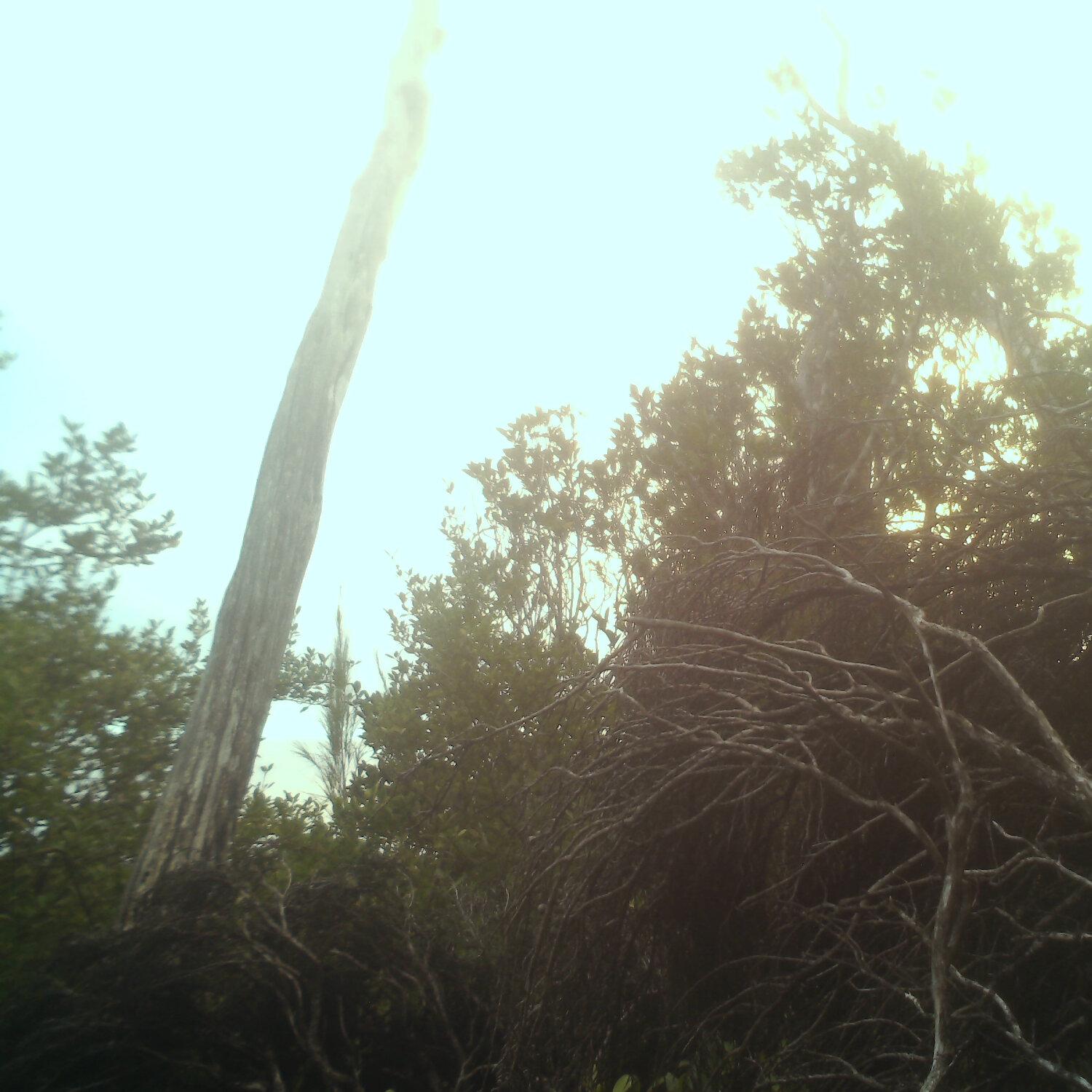 A photo captured from the webcam at the time the audio was recorded