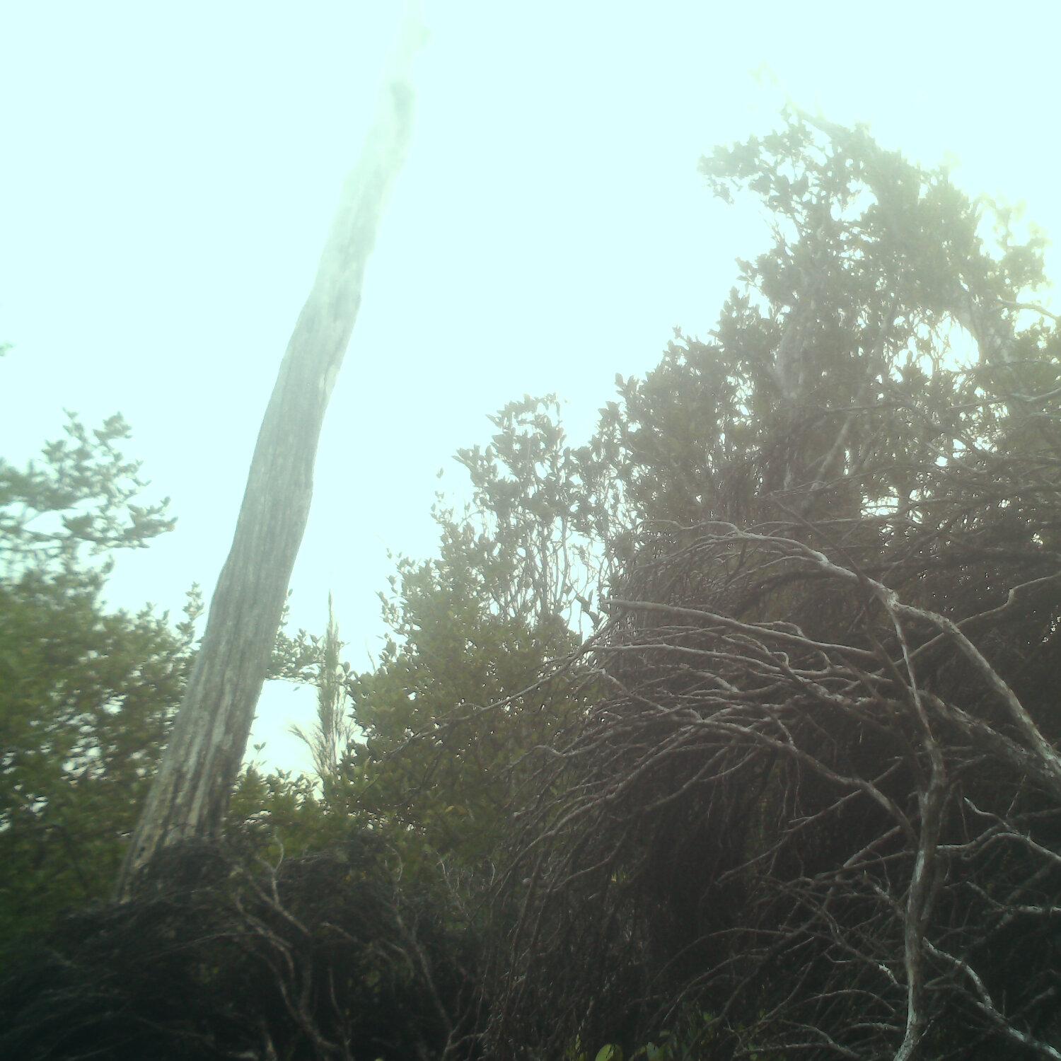 A photo captured from the webcam at the time the audio was recorded