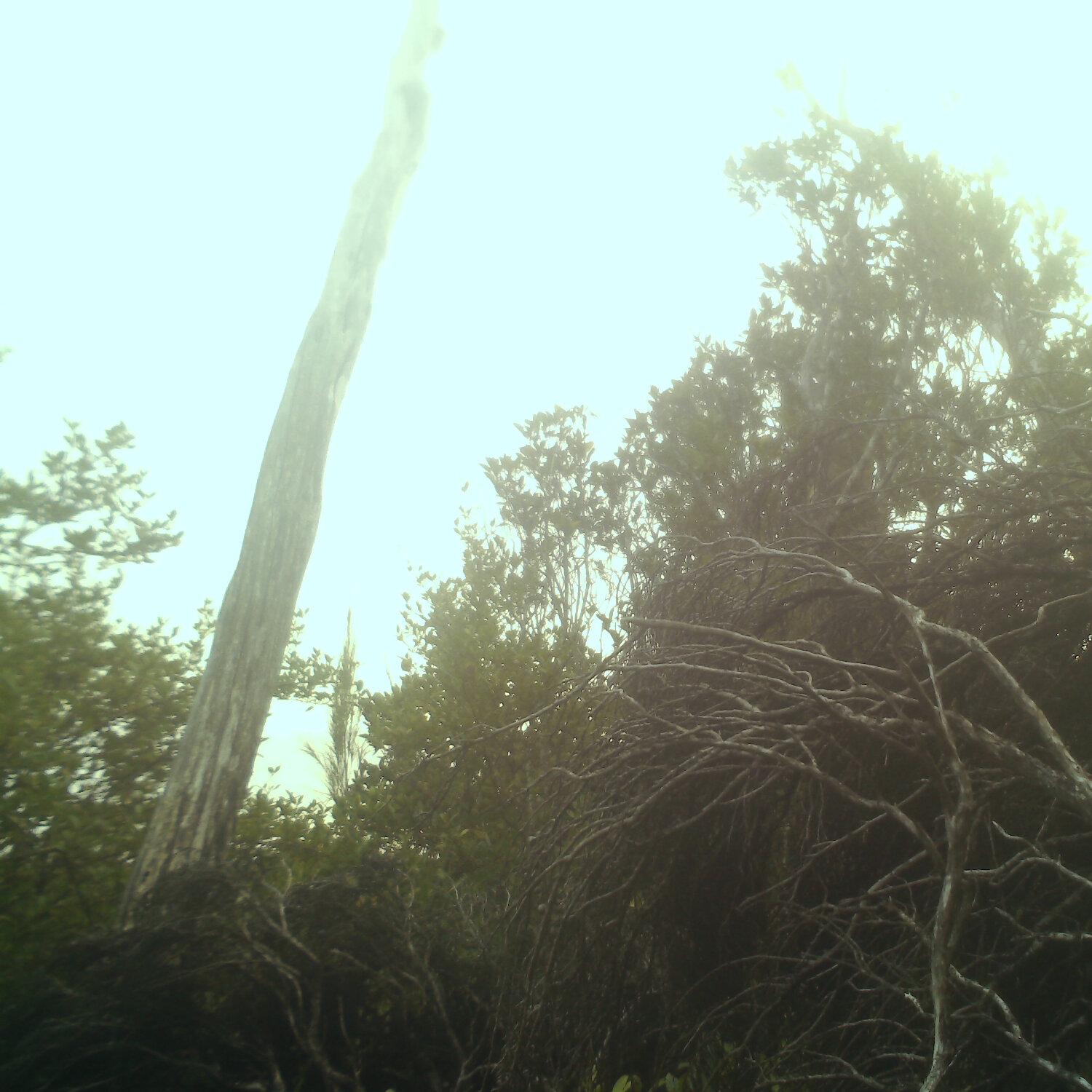 A photo captured from the webcam at the time the audio was recorded