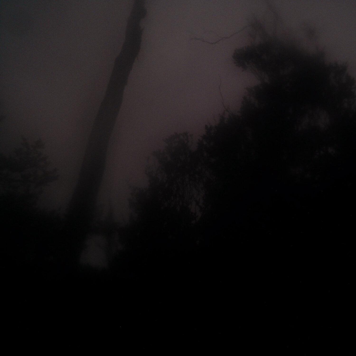 A photo captured from the webcam at the time the audio was recorded