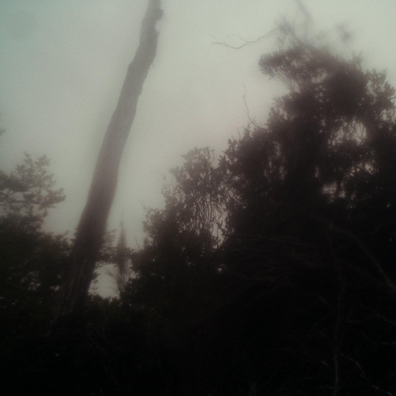 A photo captured from the webcam at the time the audio was recorded