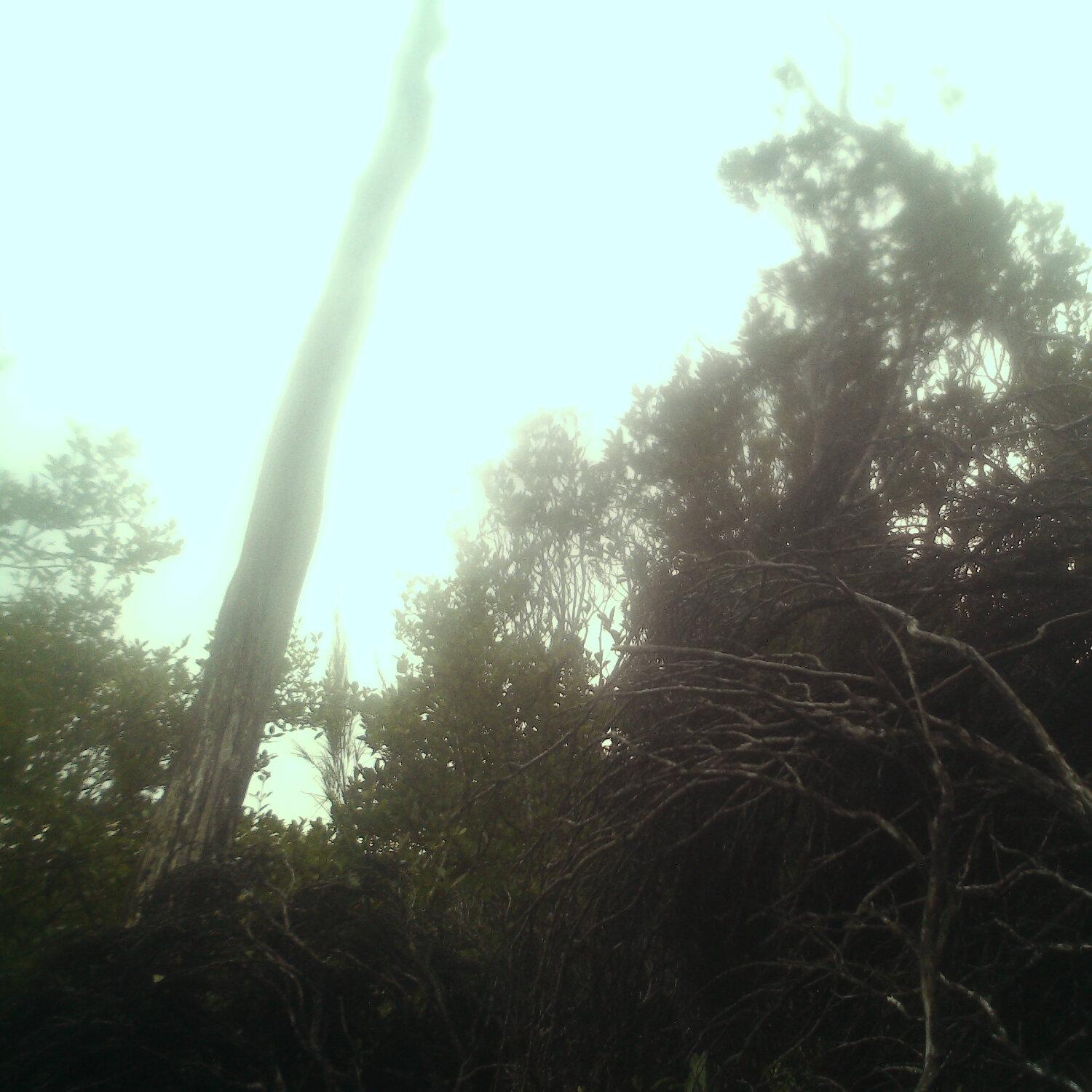 A photo captured from the webcam at the time the audio was recorded
