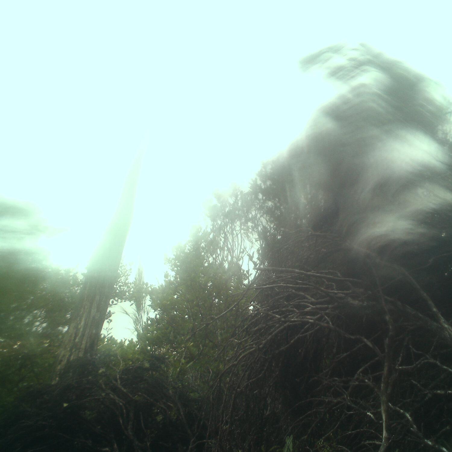 A photo captured from the webcam at the time the audio was recorded