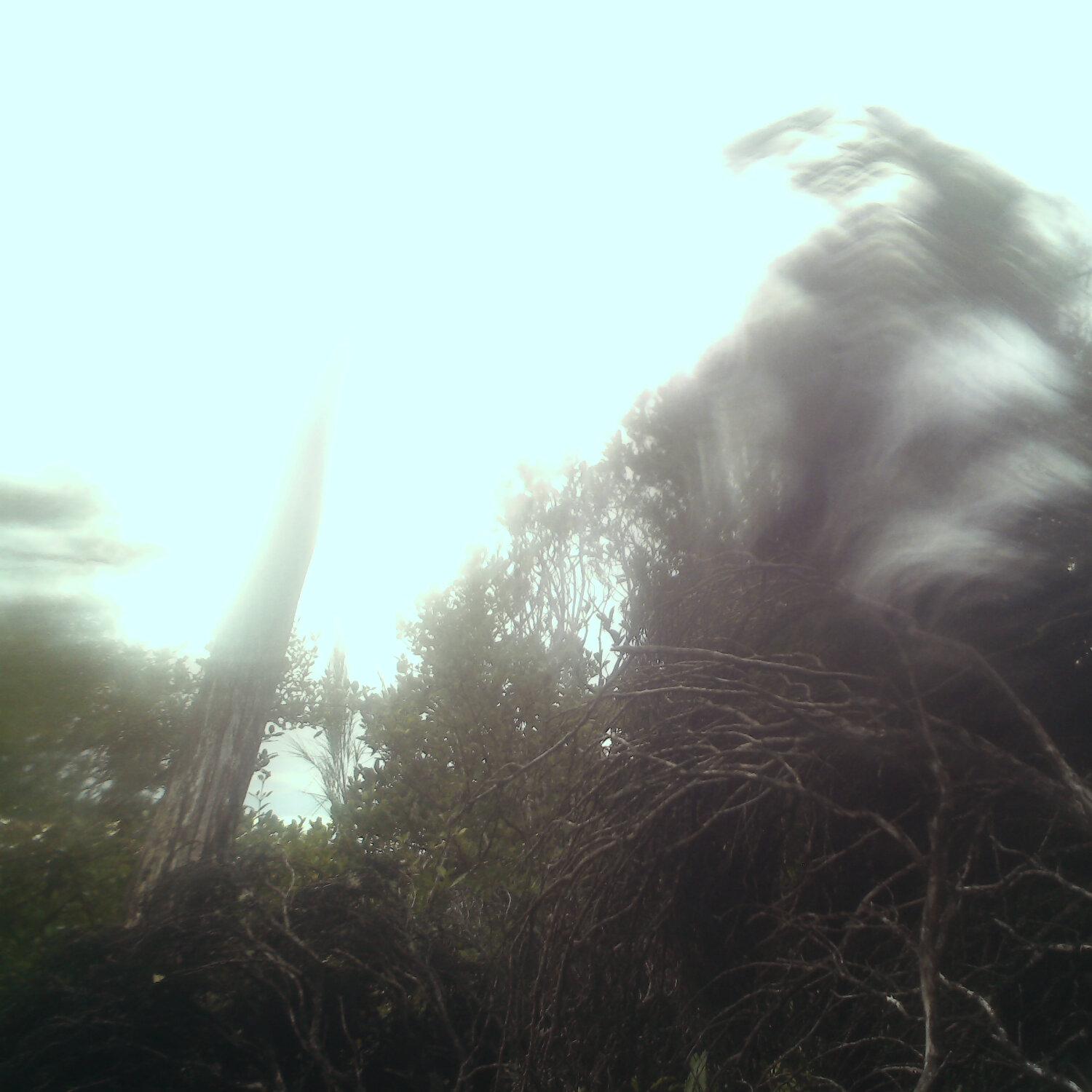 A photo captured from the webcam at the time the audio was recorded