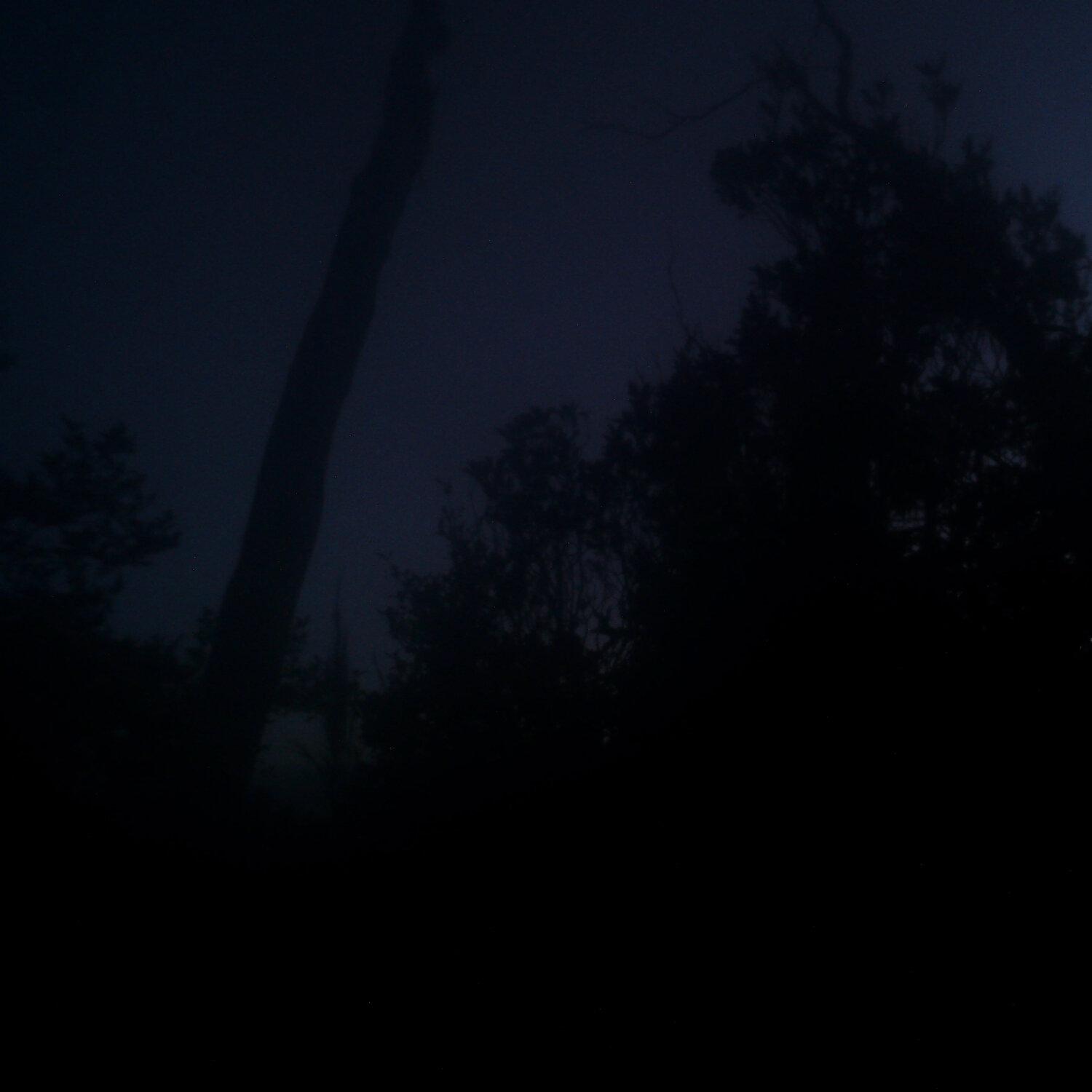 A photo captured from the webcam at the time the audio was recorded