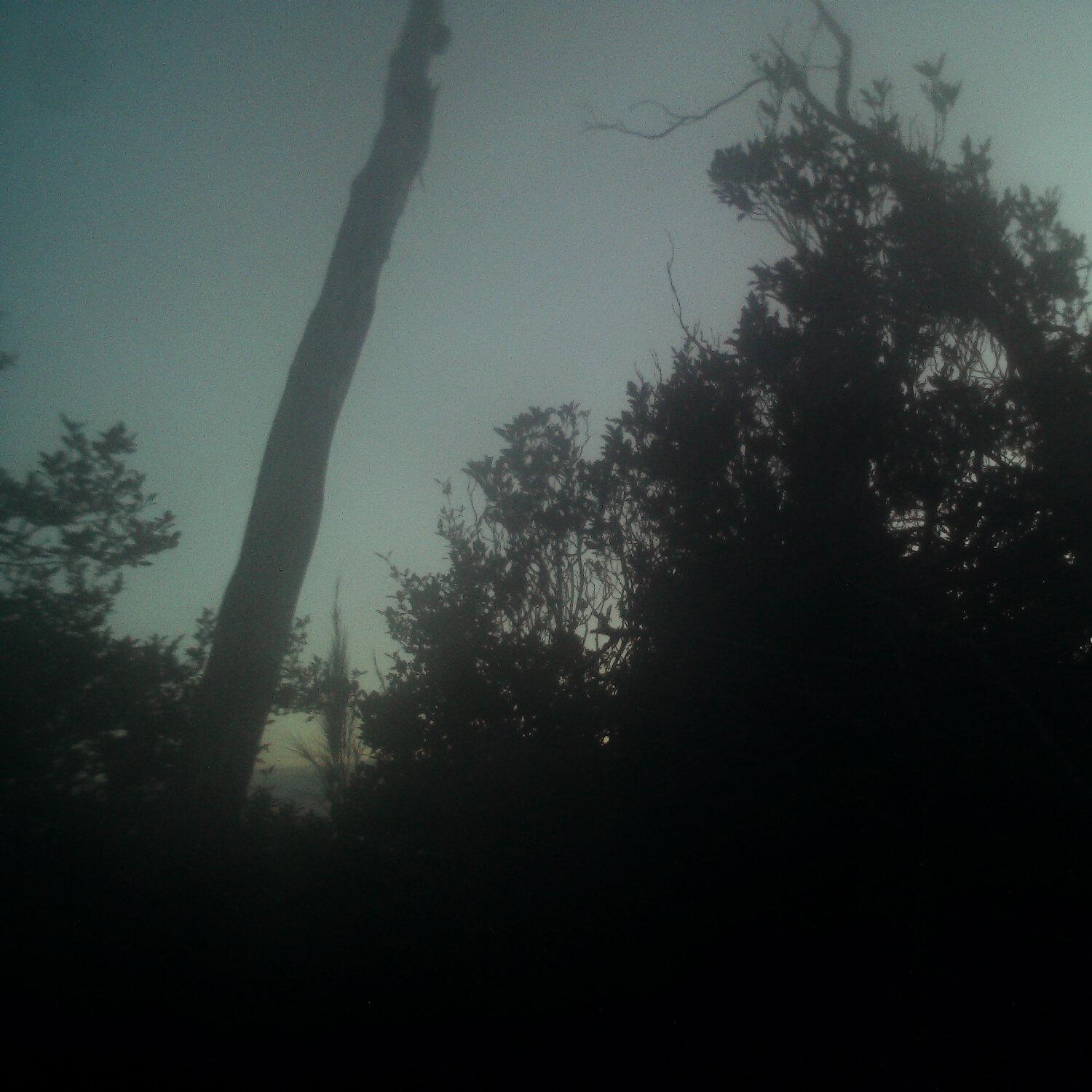 A photo captured from the webcam at the time the audio was recorded