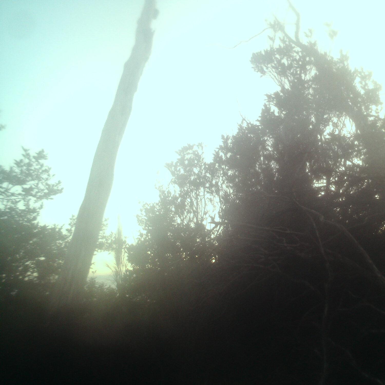 A photo captured from the webcam at the time the audio was recorded