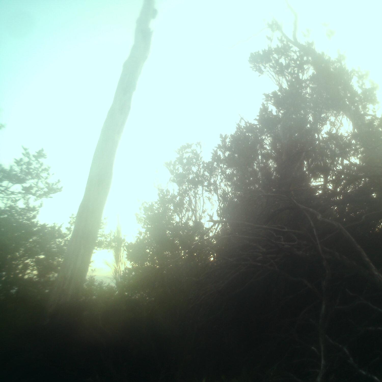 A photo captured from the webcam at the time the audio was recorded