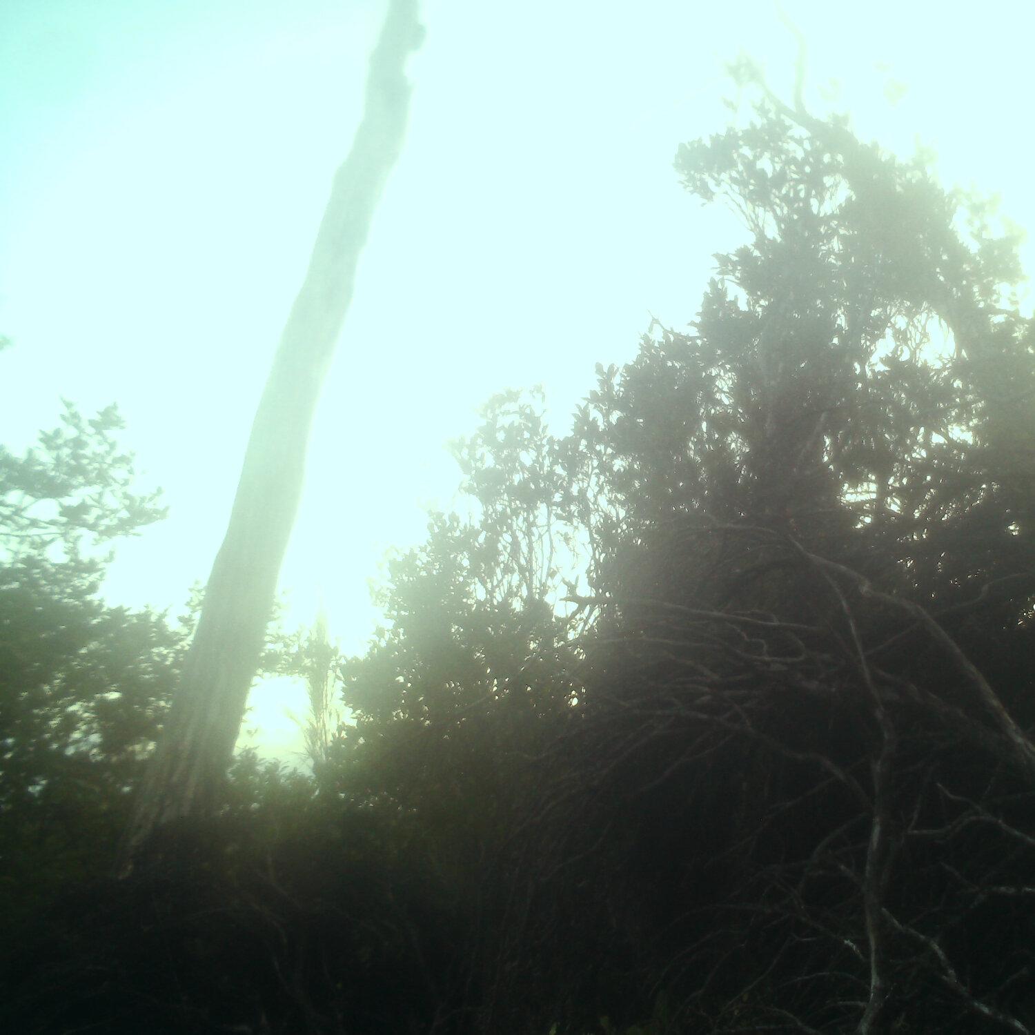 A photo captured from the webcam at the time the audio was recorded