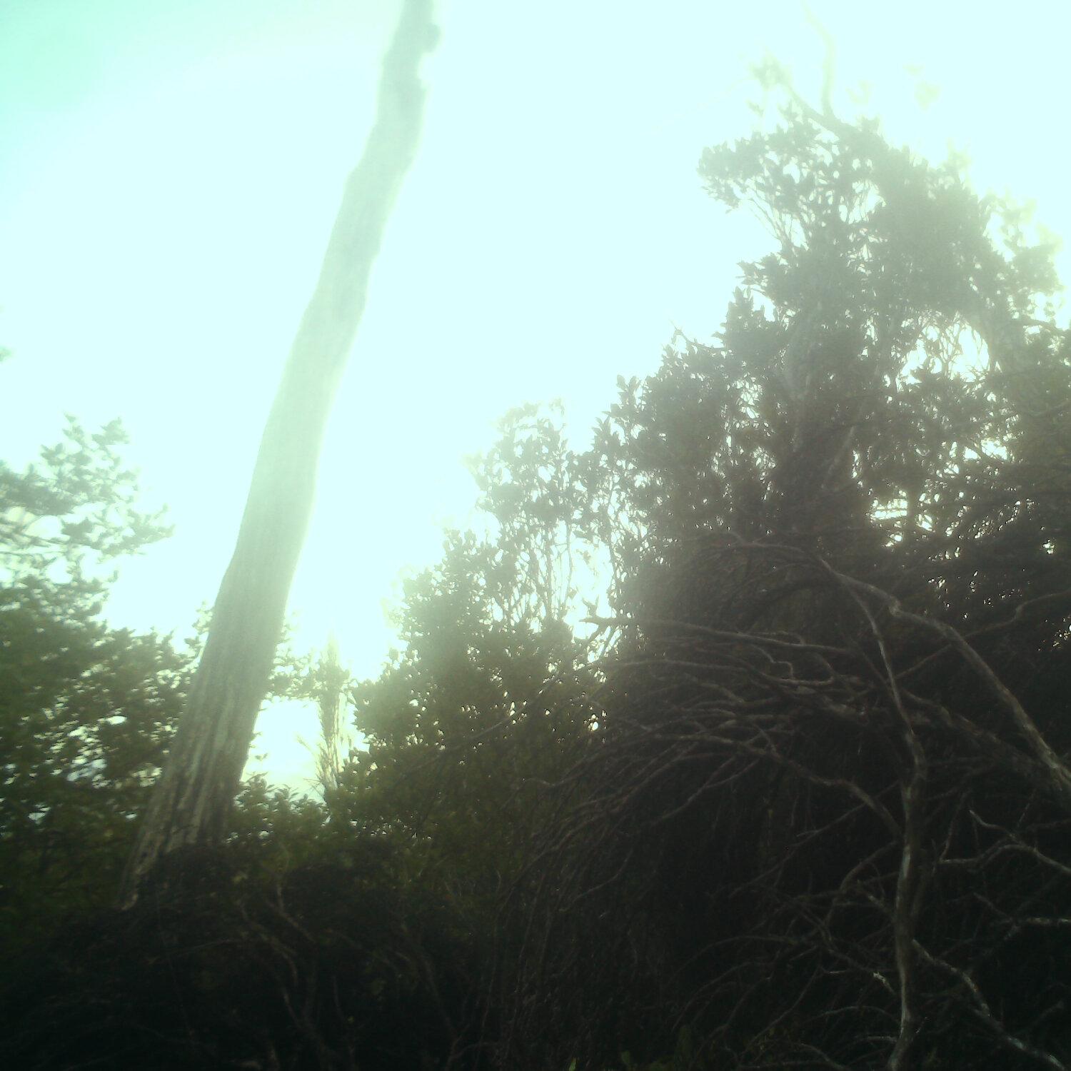 A photo captured from the webcam at the time the audio was recorded