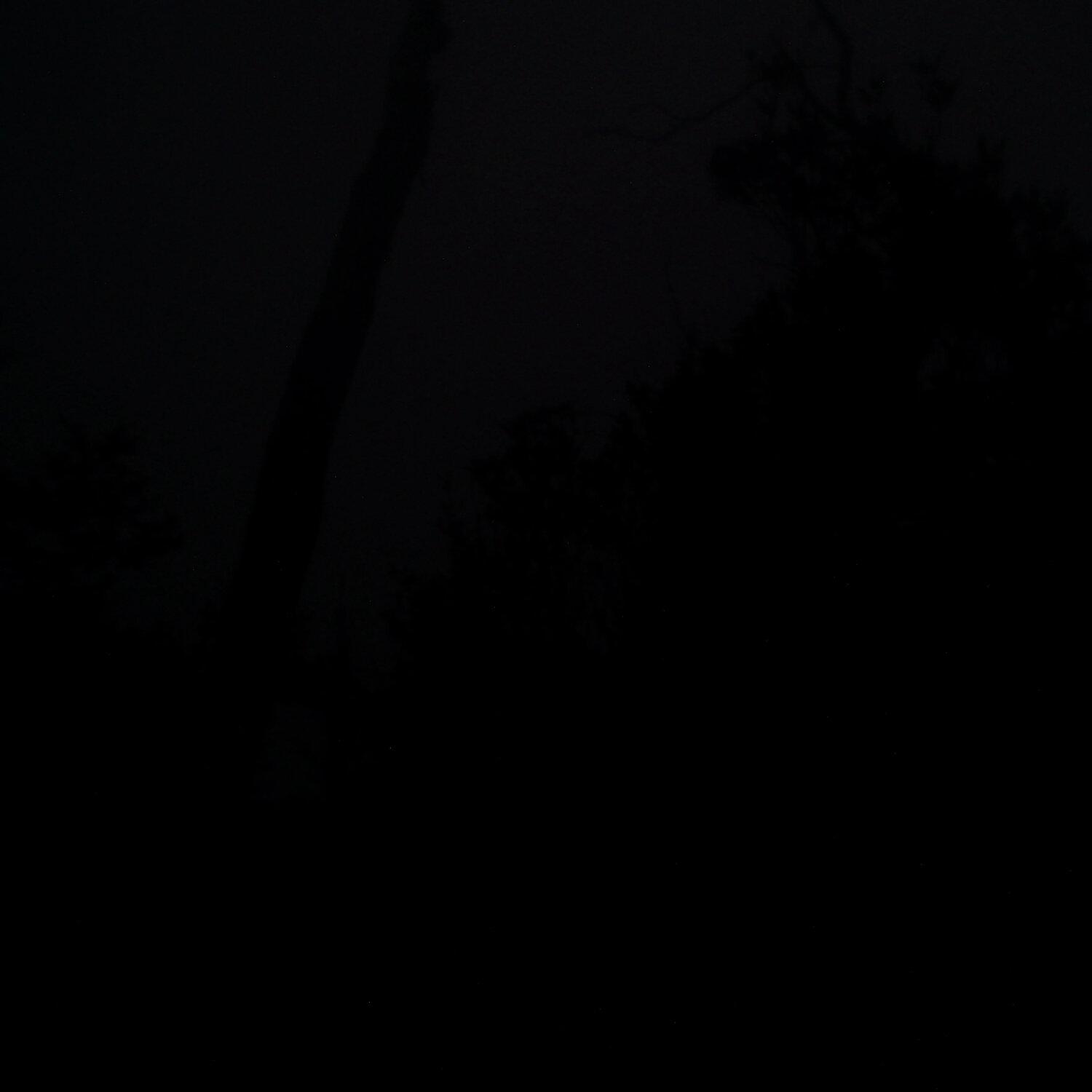 A photo captured from the webcam at the time the audio was recorded