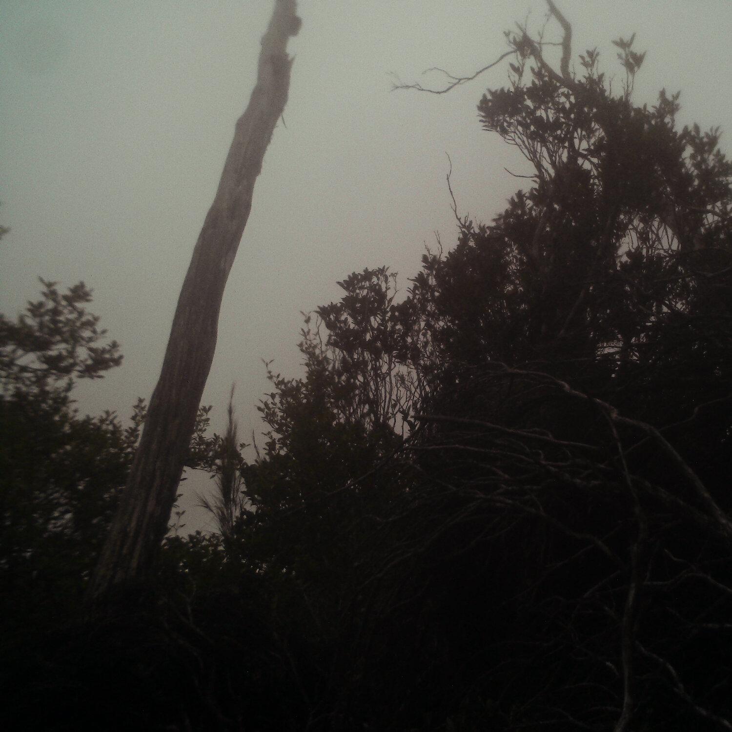 A photo captured from the webcam at the time the audio was recorded