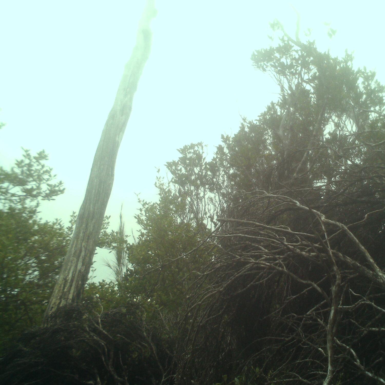 A photo captured from the webcam at the time the audio was recorded