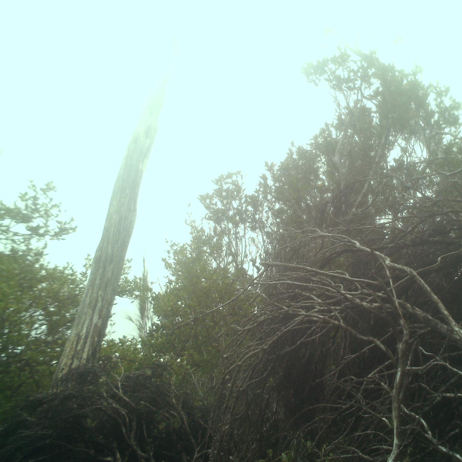 A photo captured from the webcam at the time the audio was recorded