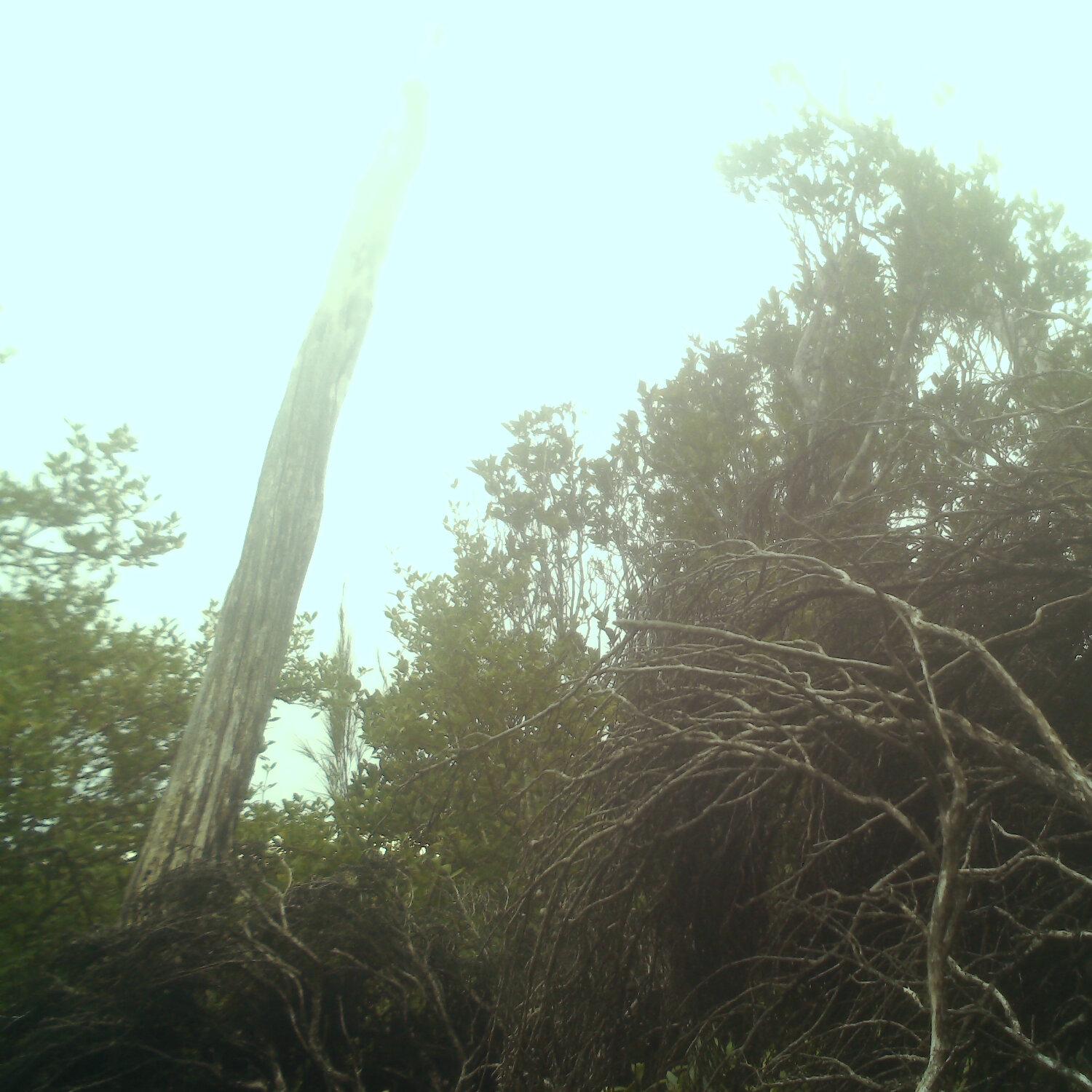 A photo captured from the webcam at the time the audio was recorded