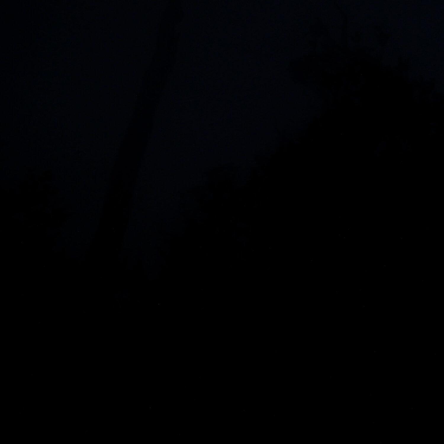 A photo captured from the webcam at the time the audio was recorded