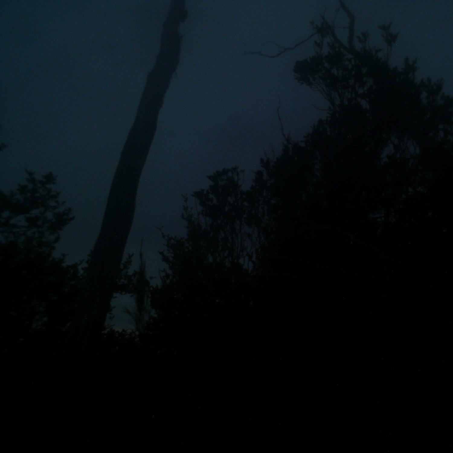 A photo captured from the webcam at the time the audio was recorded