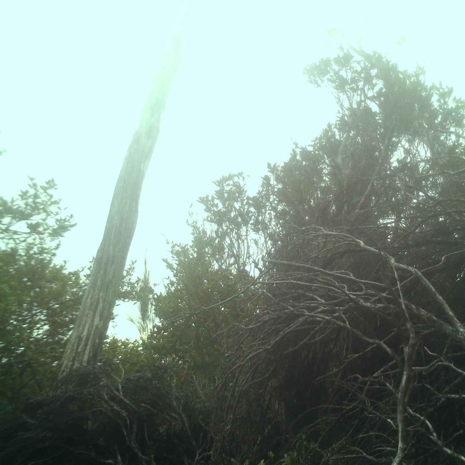 A photo captured from the webcam at the time the audio was recorded