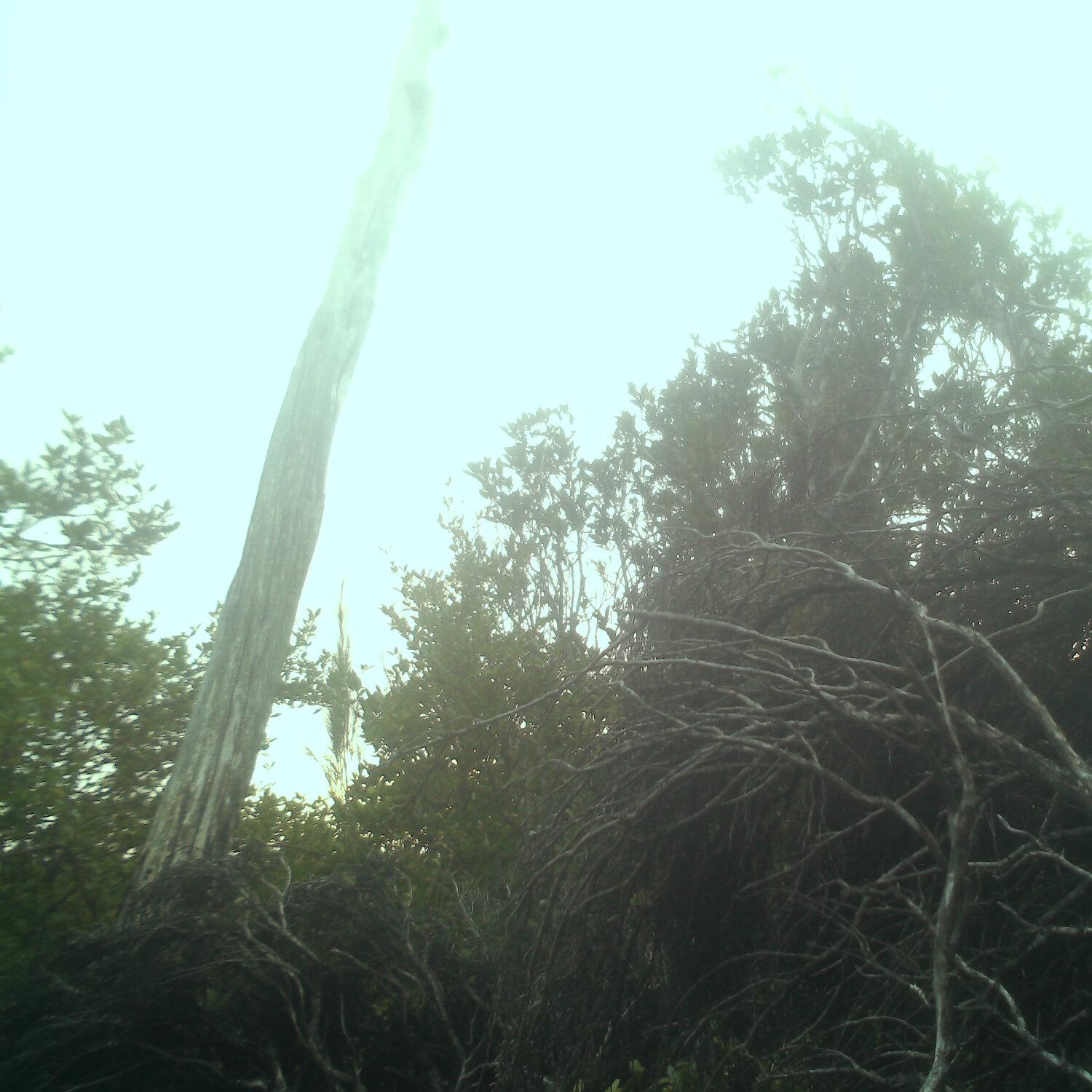 A photo captured from the webcam at the time the audio was recorded