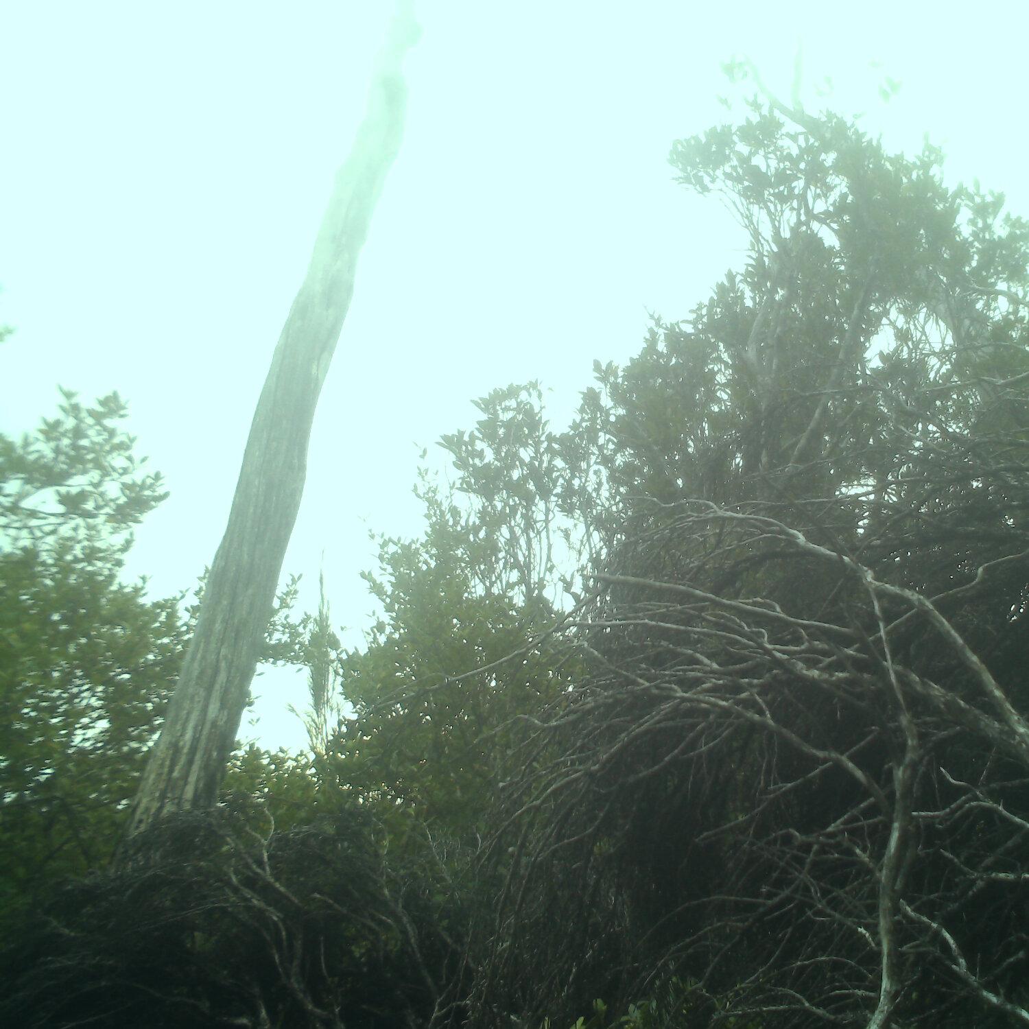 A photo captured from the webcam at the time the audio was recorded