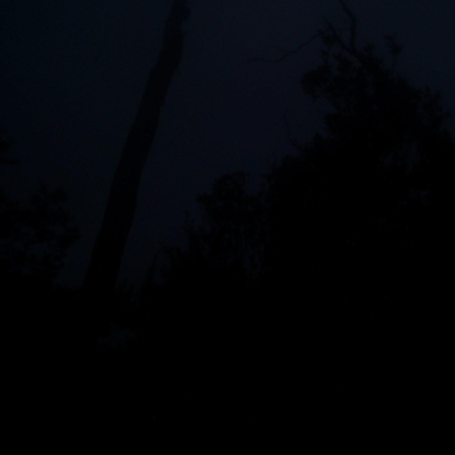 A photo captured from the webcam at the time the audio was recorded