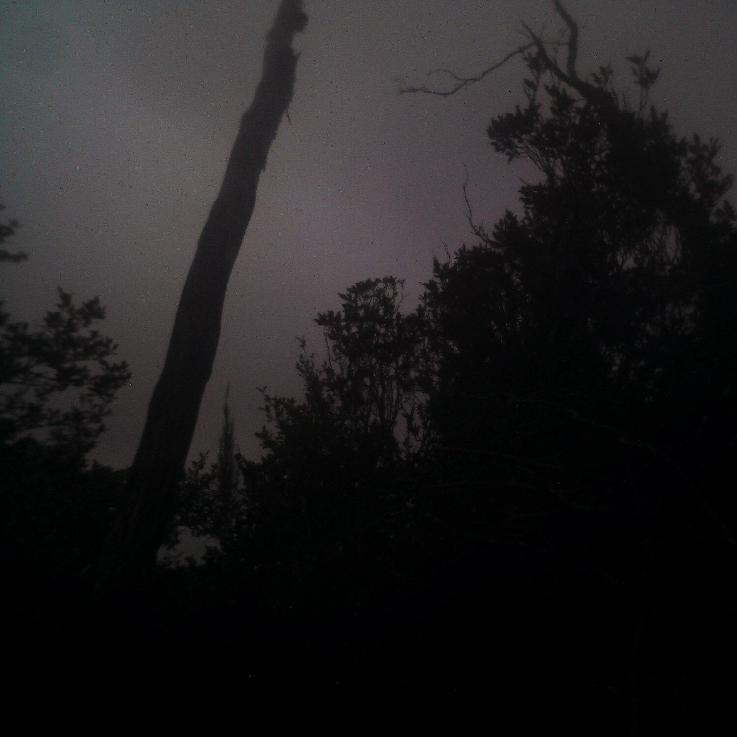 A photo captured from the webcam at the time the audio was recorded