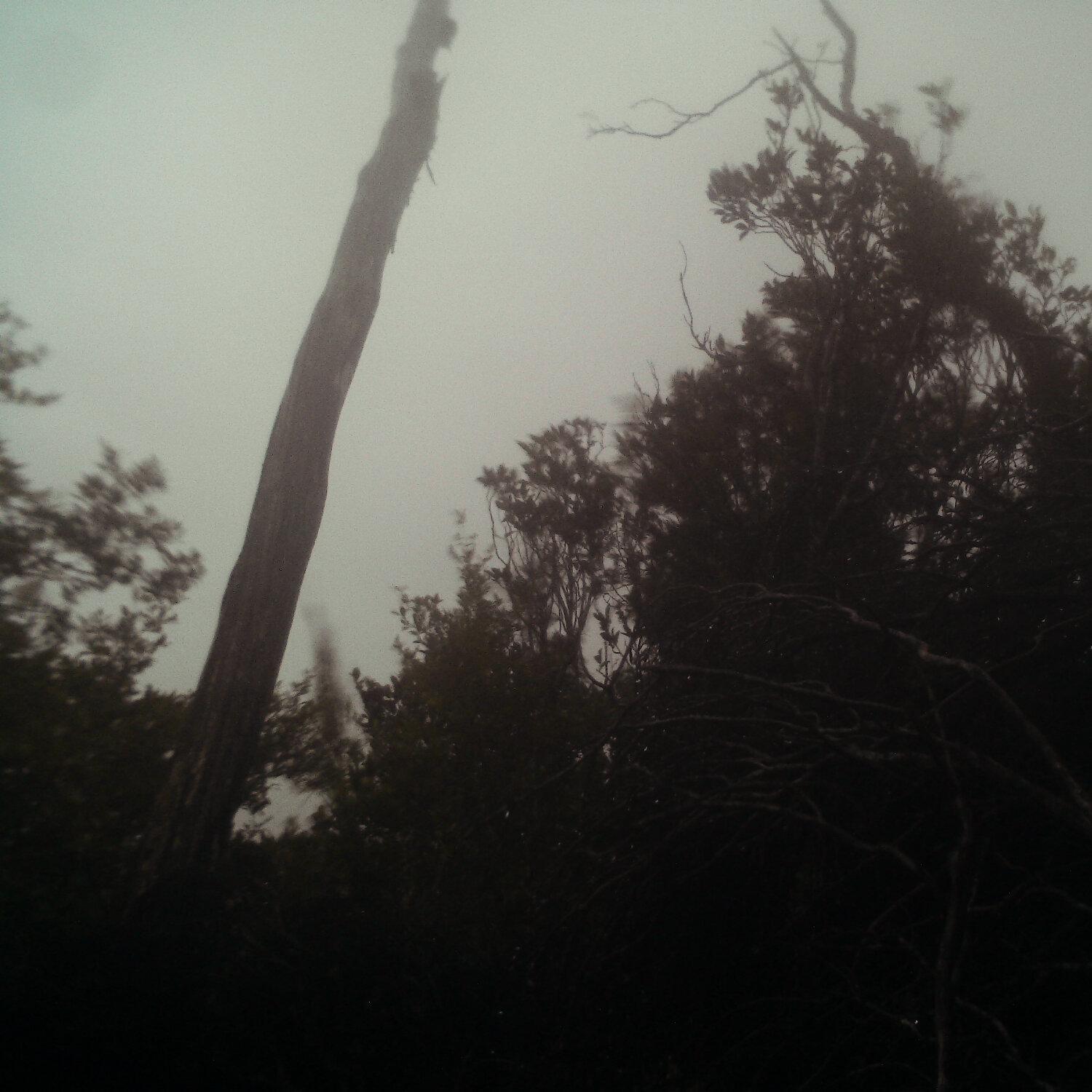 A photo captured from the webcam at the time the audio was recorded