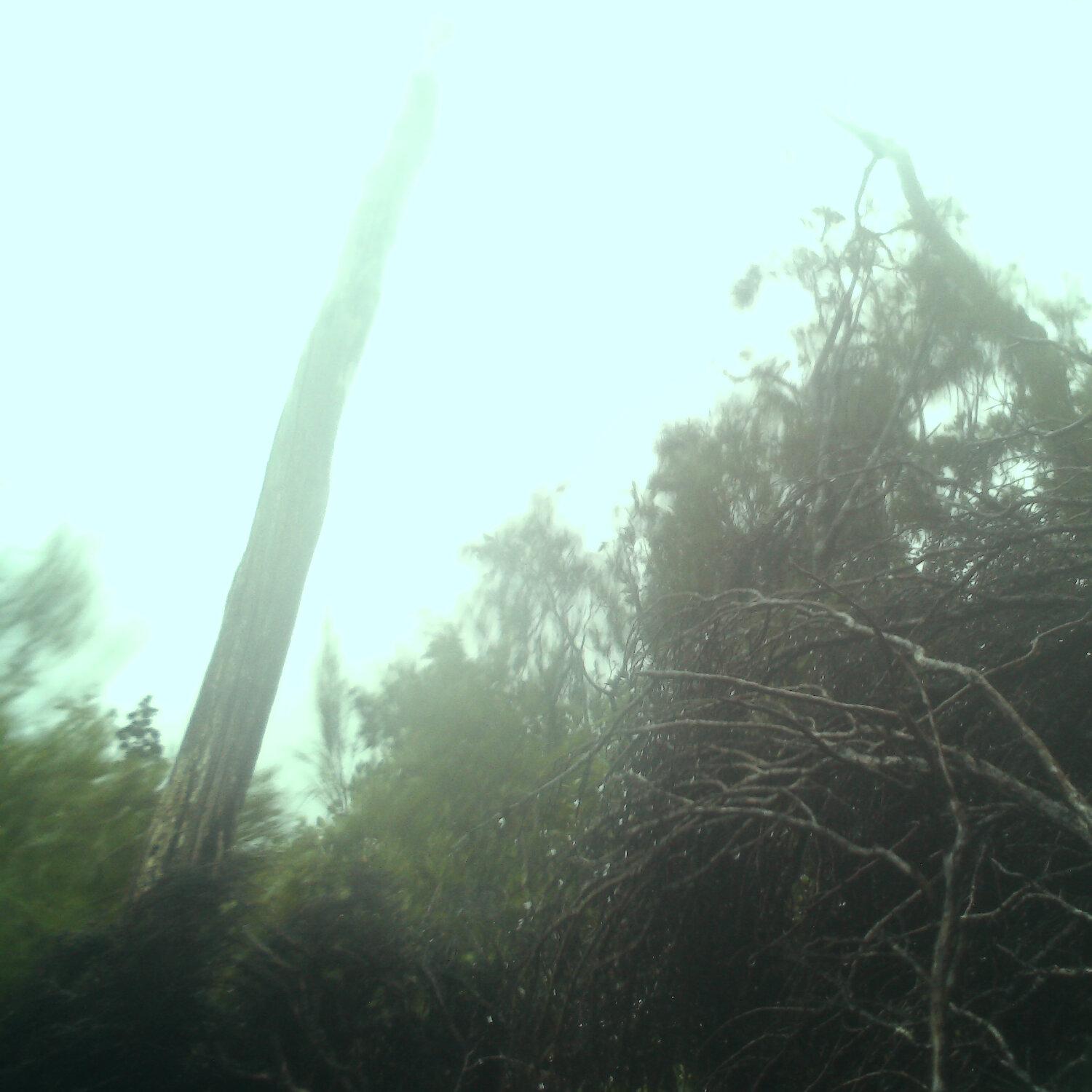 A photo captured from the webcam at the time the audio was recorded