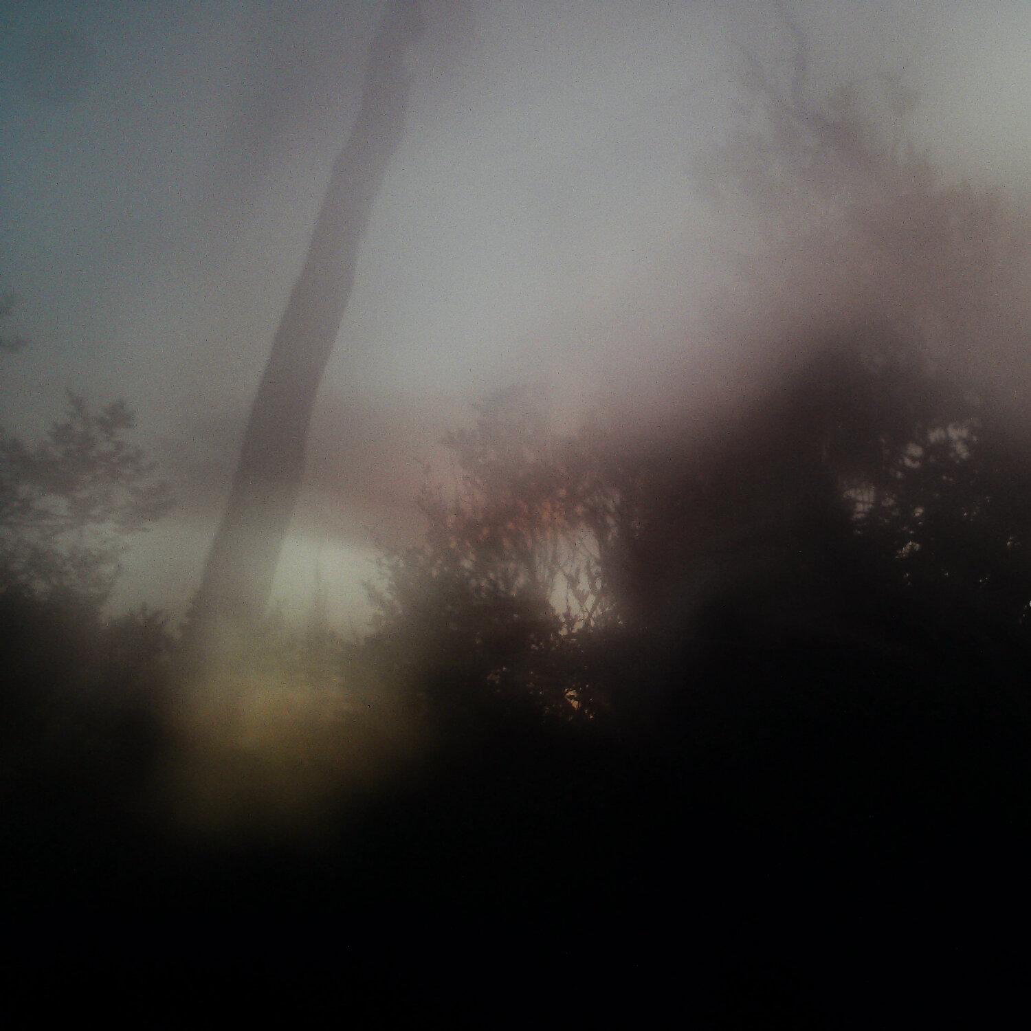 A photo captured from the webcam at the time the audio was recorded