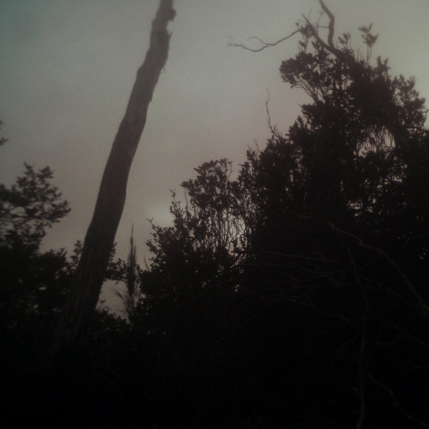 A photo captured from the webcam at the time the audio was recorded