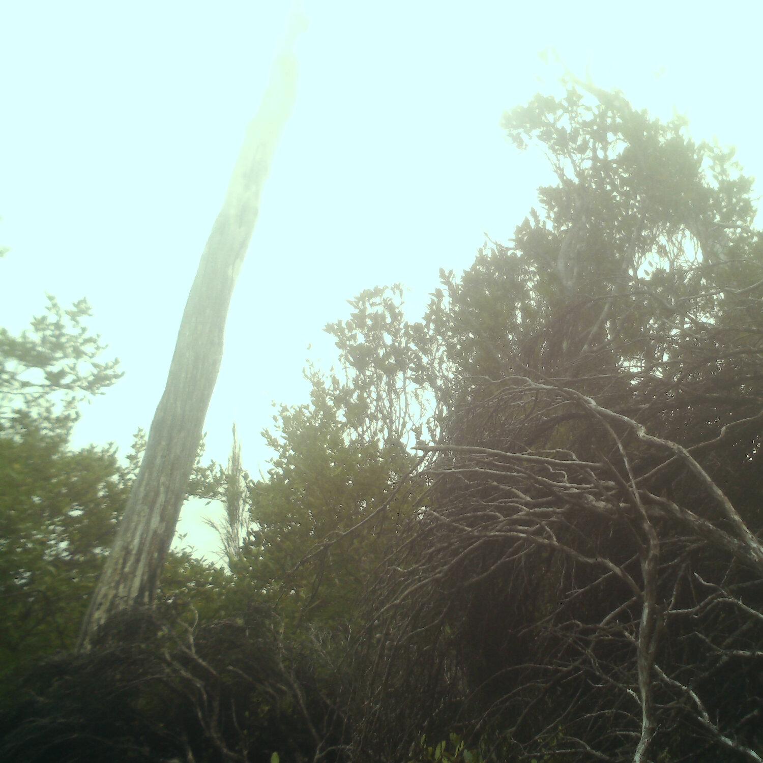 A photo captured from the webcam at the time the audio was recorded