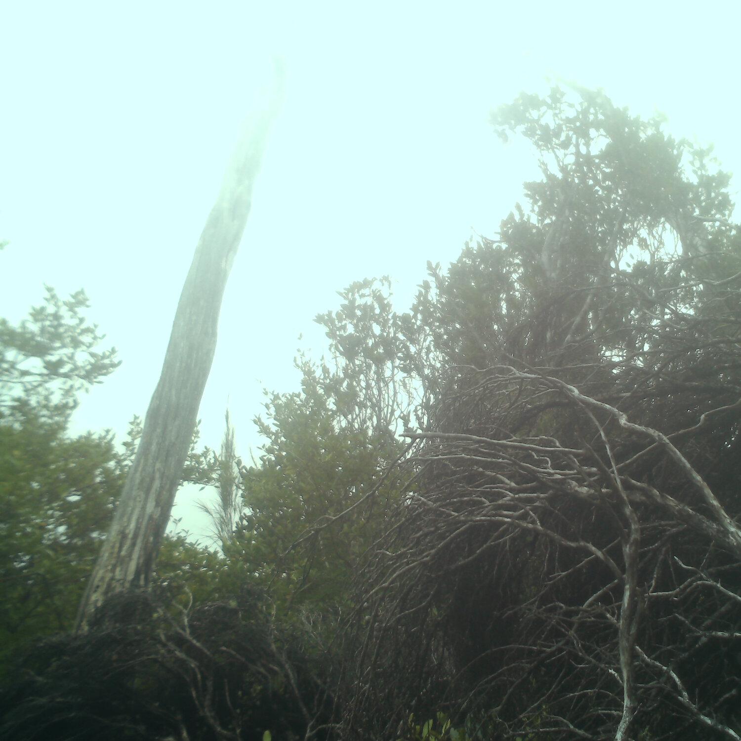A photo captured from the webcam at the time the audio was recorded