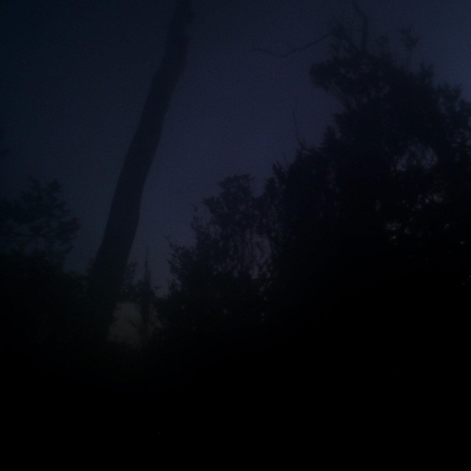 A photo captured from the webcam at the time the audio was recorded