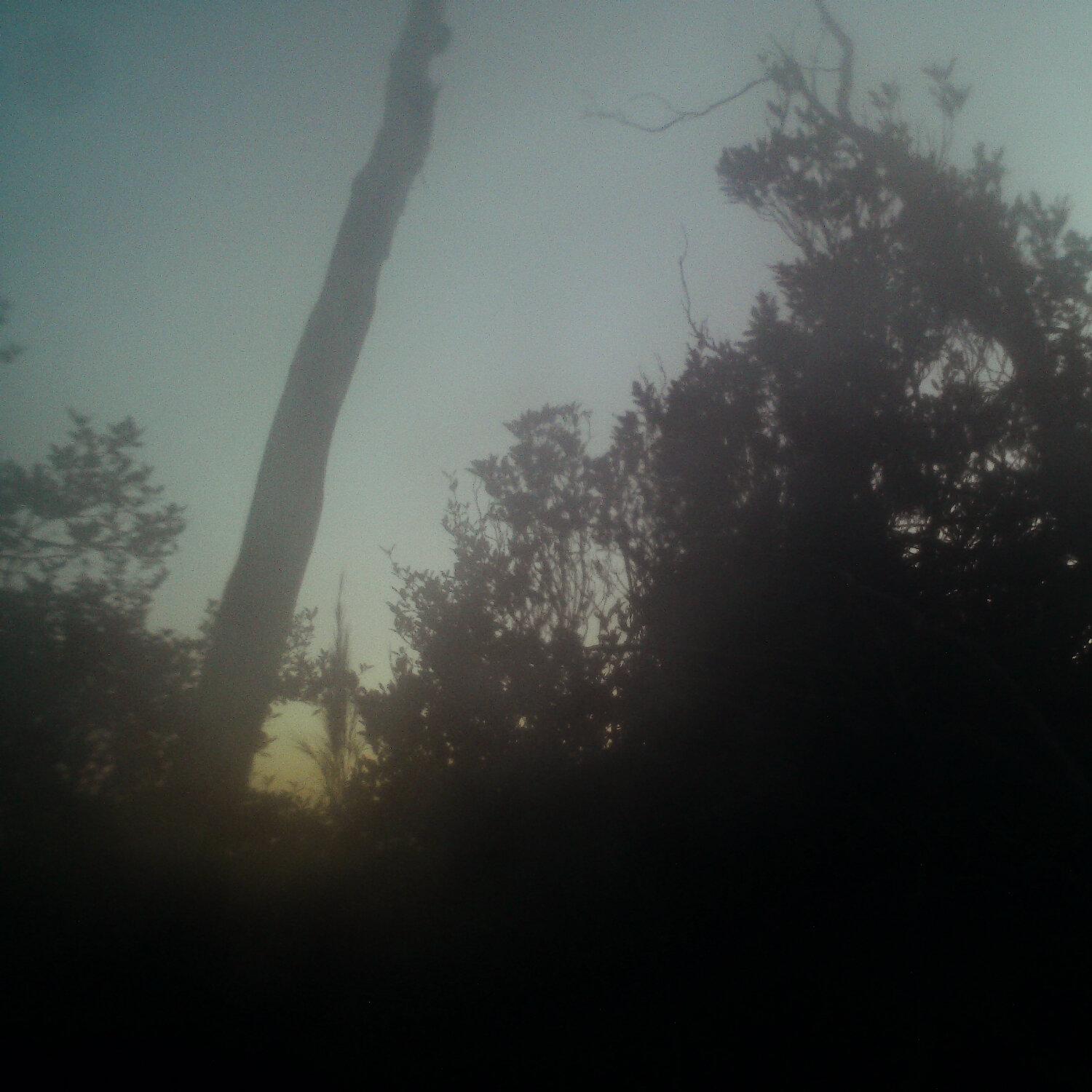 A photo captured from the webcam at the time the audio was recorded