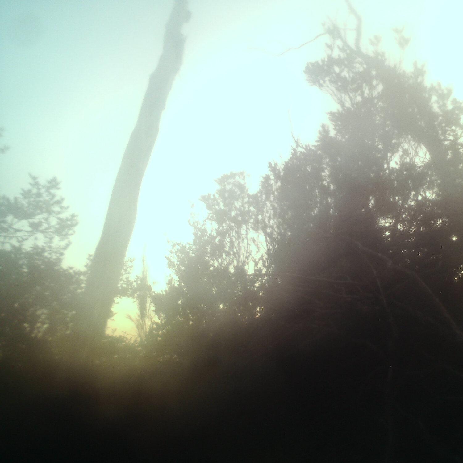 A photo captured from the webcam at the time the audio was recorded