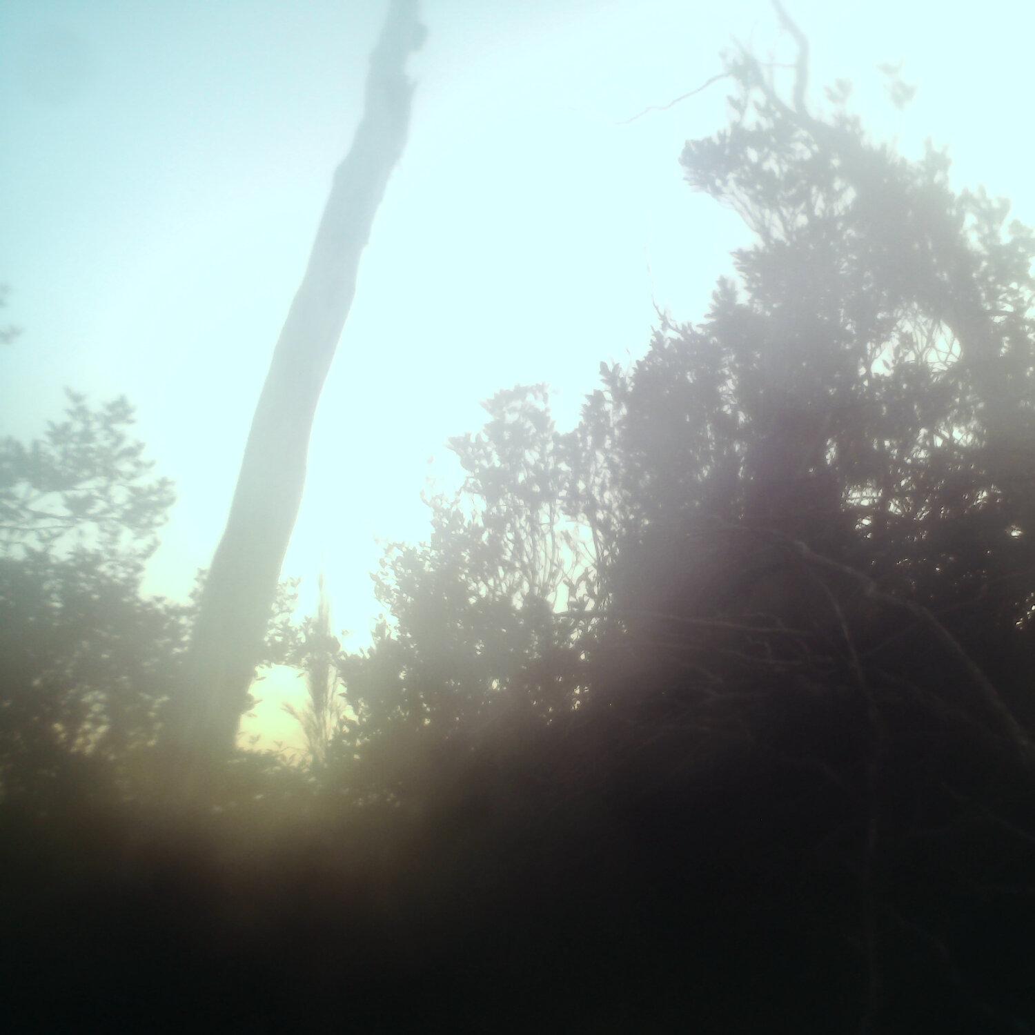 A photo captured from the webcam at the time the audio was recorded