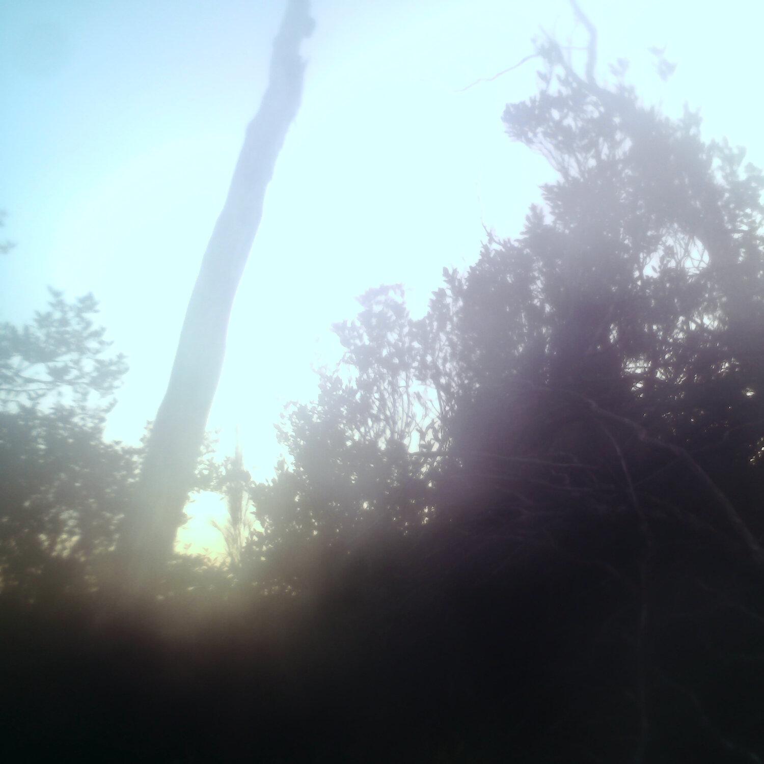 A photo captured from the webcam at the time the audio was recorded