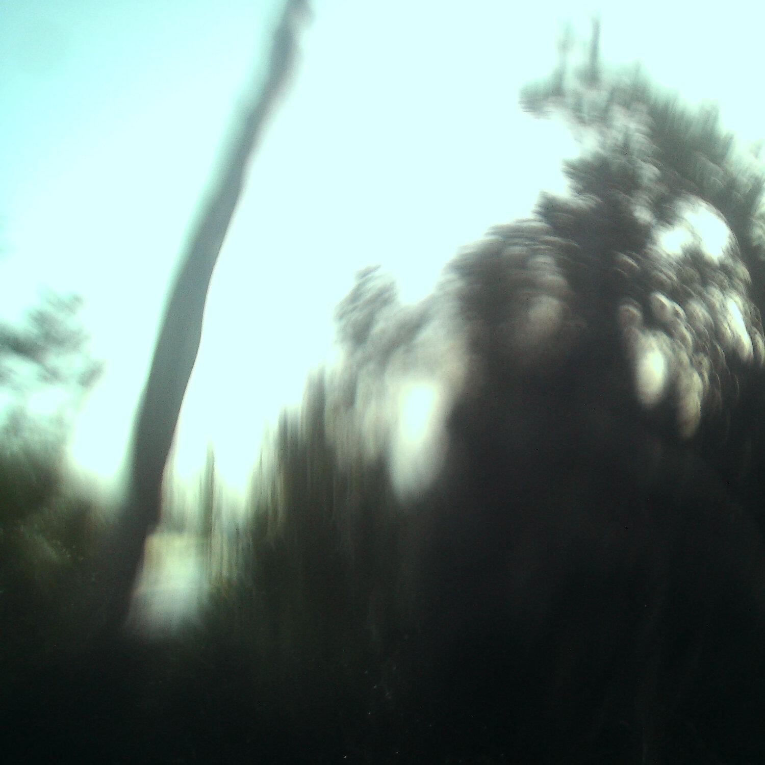 A photo captured from the webcam at the time the audio was recorded