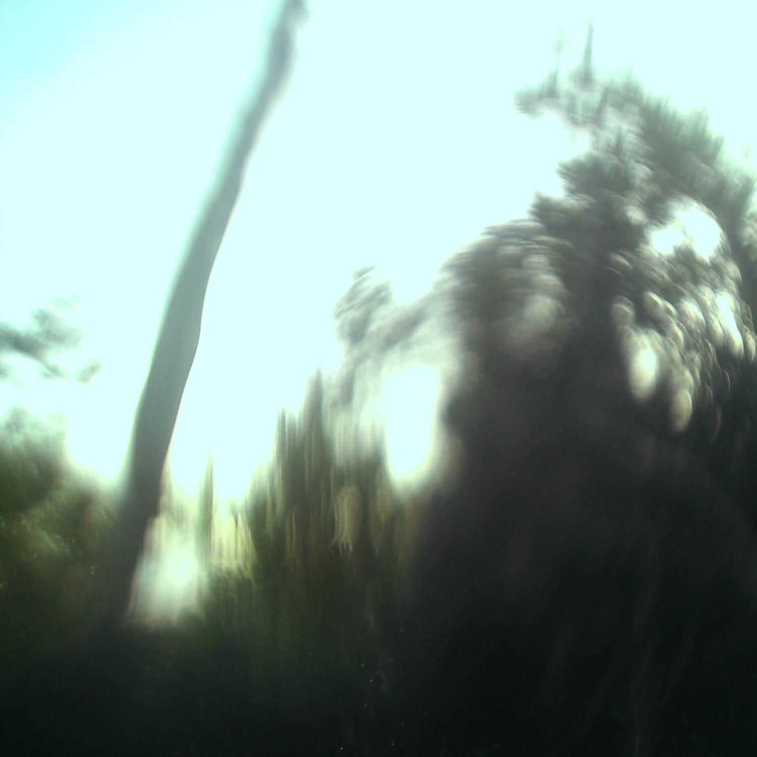A photo captured from the webcam at the time the audio was recorded