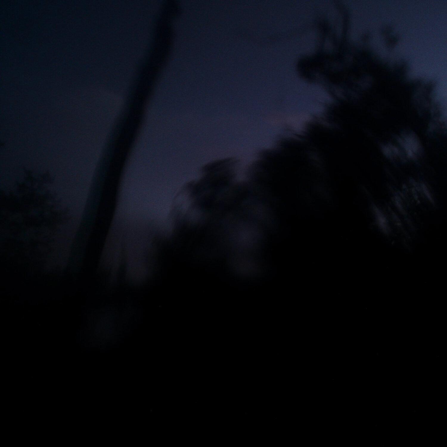 A photo captured from the webcam at the time the audio was recorded